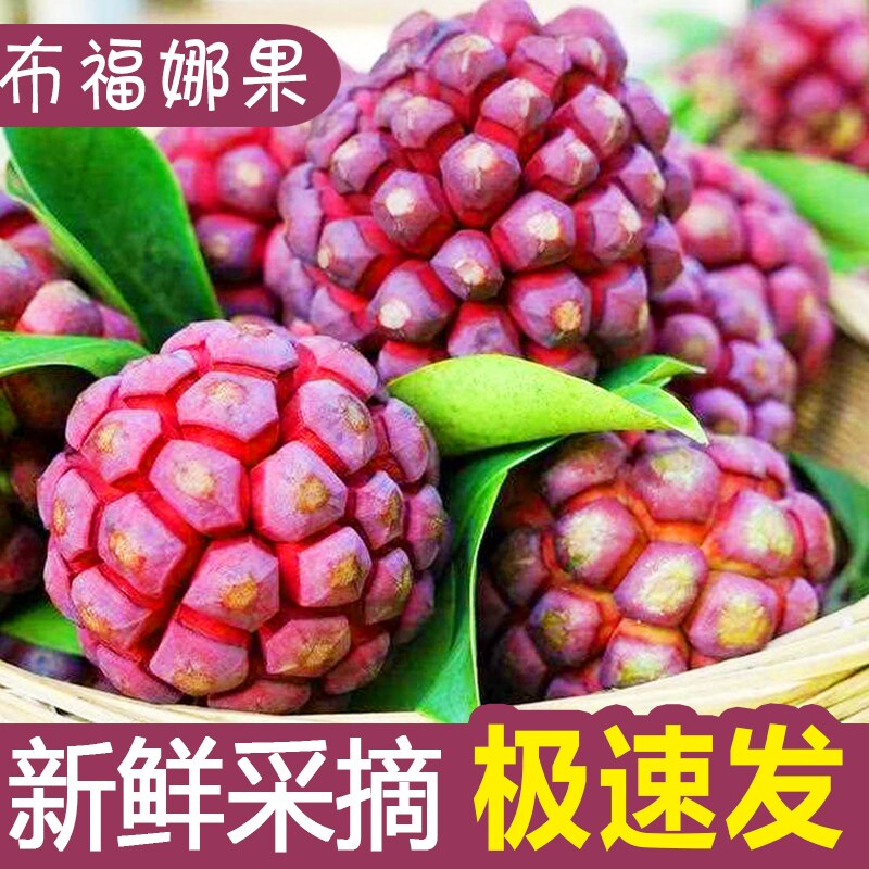 农家自种黑老虎布福娜新鲜水果当其它