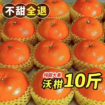 沃柑10斤新鲜水果时令当季整箱一级纯甜柑橘桔子现摘现发广西武鸣