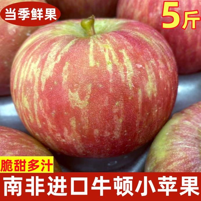 南非牛顿小苹果脆甜多汁进口富士樱桃小苹果时令新鲜水果5斤包邮