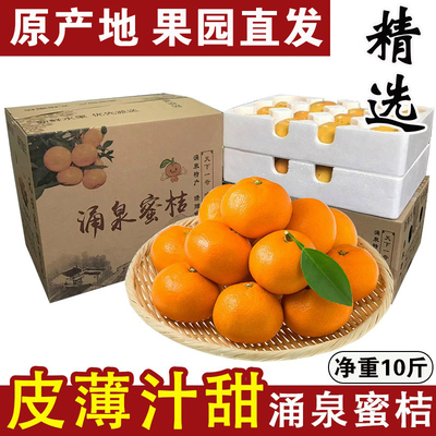 正宗临海蜜桔早熟宫川无核黄岩蜜橘新鲜水果现摘桔子10斤