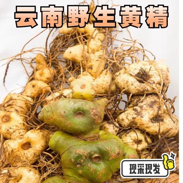 野生滇南黄精老虎姜正宗新鲜鸡头黄精食用滋补可泡酒煲汤炖肉粥