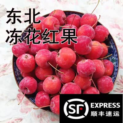 东北冻花红顺丰包邮冻海棠果海红特产冷冻水果酸甜迷你小果子孕妇