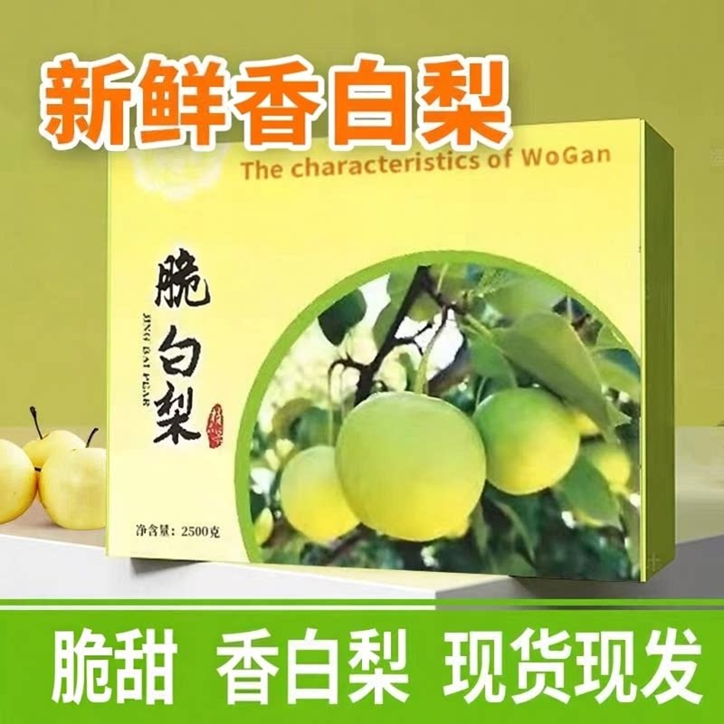 正宗东北特产白梨新鲜礼盒装特产果园多汁白梨五斤包邮