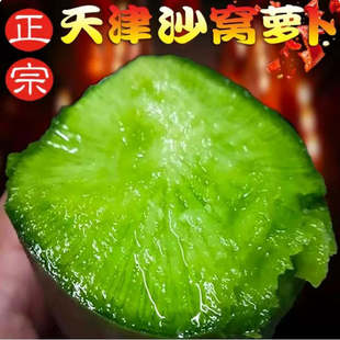 天津沙窝萝卜天星2号正宗水果青萝卜新鲜生吃脆甜不辣产地直发9斤