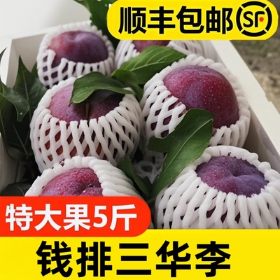 正宗信宜钱排三华李红心李特大果王礼盒端午新鲜水果甜脆顺丰5斤