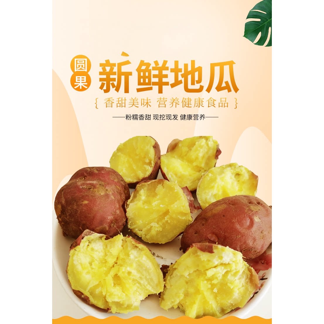 海南桥头粉糯香甜地瓜澄迈正宗富硒沙地番薯圆果新鲜黄心板栗红薯图片