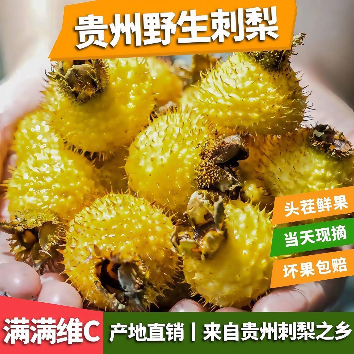 26年贵州野生鲜果刺梨 现摘新鲜刺梨果2500克 维C王 泡酒泡茶