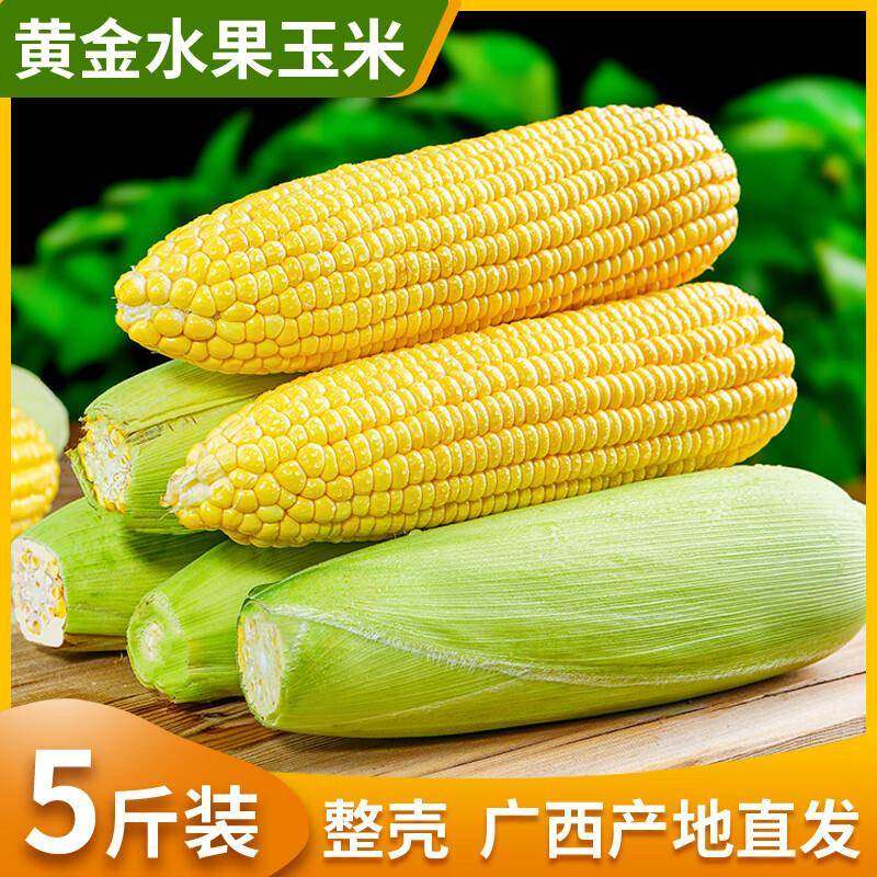 新鲜现摘超甜水果玉米10斤当季可生吃的爆浆苞谷棒子,水产肉类/新鲜蔬果/熟食,新鲜玉米,淘宝优惠券,粉丝福利购,淘宝优惠卷