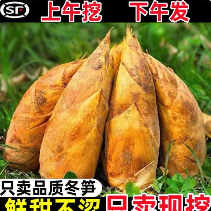 顺丰浙江临安冬笋新鲜毛竹笋鲜笋贵州竹笋腌笃鲜2026当季现挖