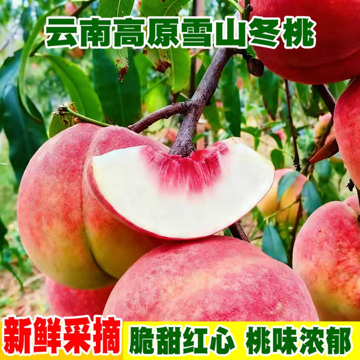 云南大理冬桃新鲜脆甜雪桃子当季水蜜桃毛桃子水果金秋蜜新鲜水果