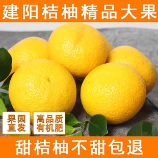 福建建阳桔柚新鲜当季水果非庆元会昌甜橘柚桔子柚子甜心柚黄金柑