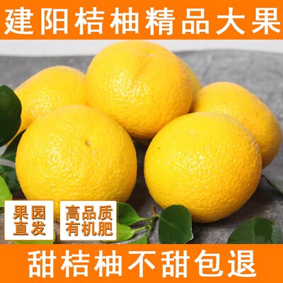 福建建阳桔柚新鲜当季水果非庆元会昌甜橘柚桔子柚子甜心柚黄金柑