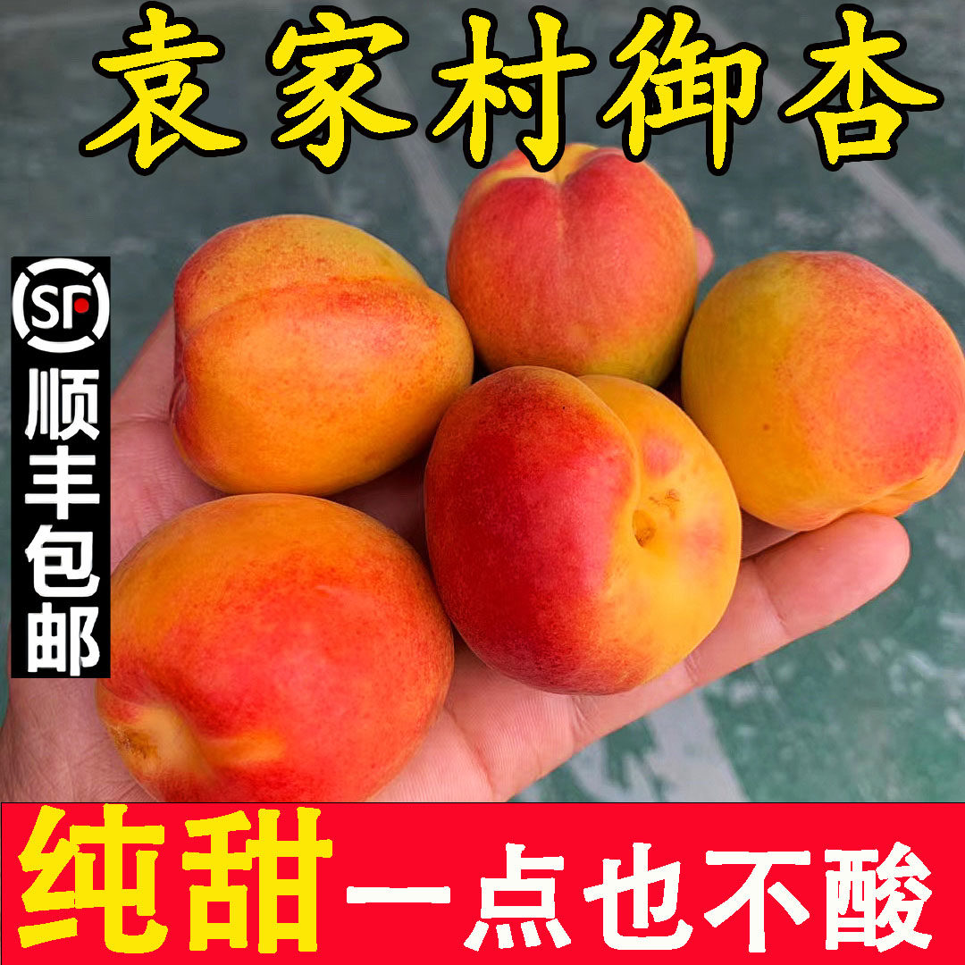 陕西新鲜红杏子袁家村山底纯甜礼泉御杏应季当季孕妇水果现摘蜜杏
