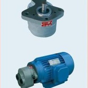 6JZ CBW 16插入S式 置 齿轮泵CBW 齿轮油泵电机组装 4JZ