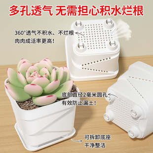 多肉组合盆栽长方形窗台专用花盆底座办公桌面家用精致可拆卸托盘