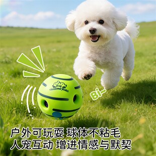 狗狗玩具怪叫球发声玩具自嗨解闷磨牙耐咬训练消耗体力宠物玩具