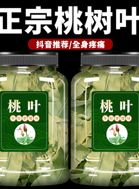 新鲜桃树叶桃叶50g中药材正品农家新货桃树叶干搭花椒煮水泡脚
