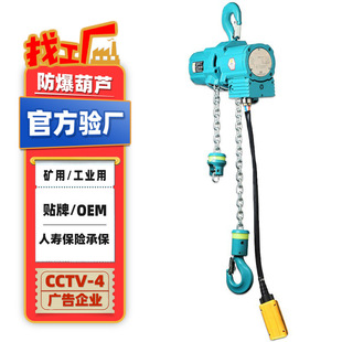 易燃易爆场所0.5t1T2T3吨6m9M12米气动防爆葫芦 定制矿用气动葫芦