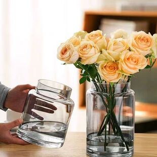 花瓶摆件客厅插花玻璃轻奢高级感透明复古餐桌矮水培玫瑰大肚宽口