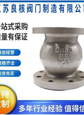 H42H-25P 不锈钢止回阀 法兰连接 旋启式止回阀 304不锈钢法兰阀