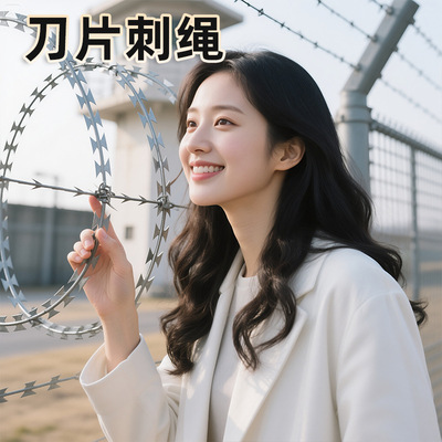 刀片刺绳机场监狱防攀爬铁丝网不锈钢刺网滚笼围墙防护网护栏