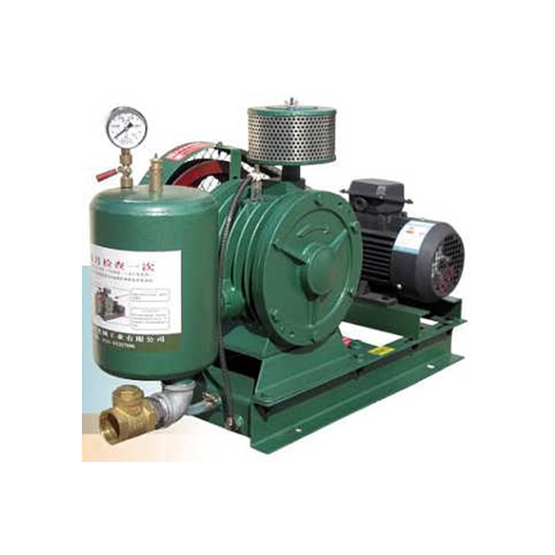 回转式鼓风机定制鱼塘养殖增氧曝气功率气力输送养鱼专用