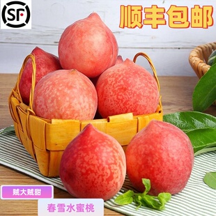 顺丰速发春雪水蜜桃新鲜水果毛桃冬桃脆甜多汁桃当季孕妇水果桃子