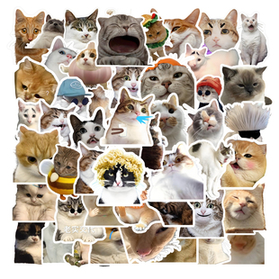 饰萌趣必备可爱卡通猫咪多巴胺风格 手滑板平板手机壳帐装 创意贴纸超全喵星人表情包同款 50张网红可爱猫咪个性