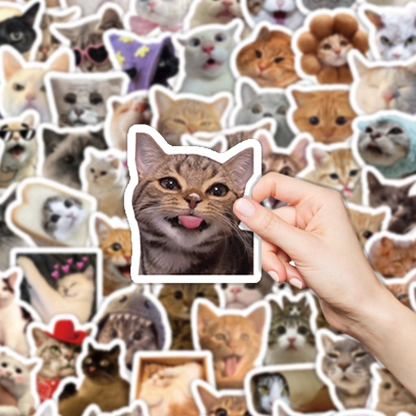 50张不重复可爱写实猫咪个性表情包贴纸,3C数码配件,笔记本个性小贴纸,淘宝优惠券,粉丝福利购,淘宝优惠卷
