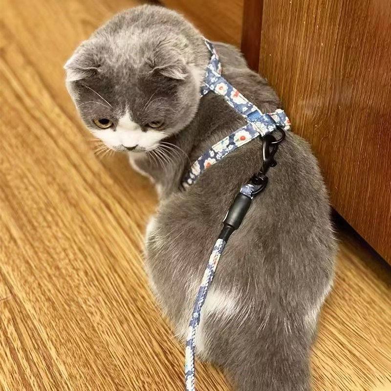 猫咪牵引绳防挣脱夏季溜猫遛猫绳可调节猫绳子拴猫链宠物狗狗外出
