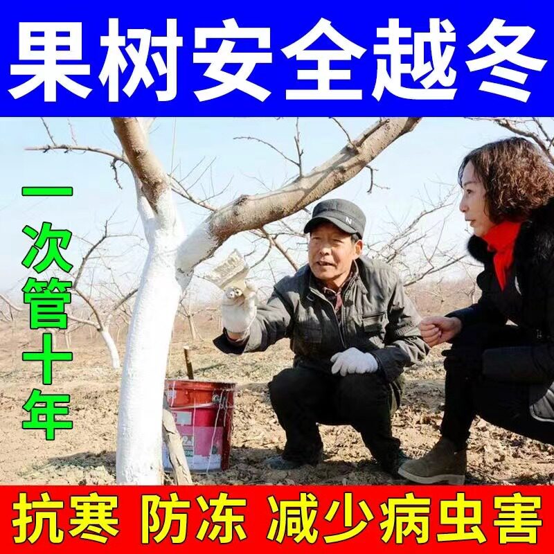 树木涂白剂越冬防冻防晒防虫