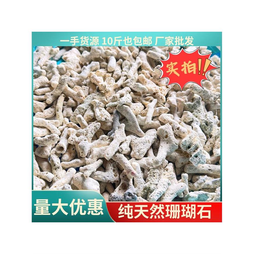 鱼缸滤材珊瑚骨砂纯天然