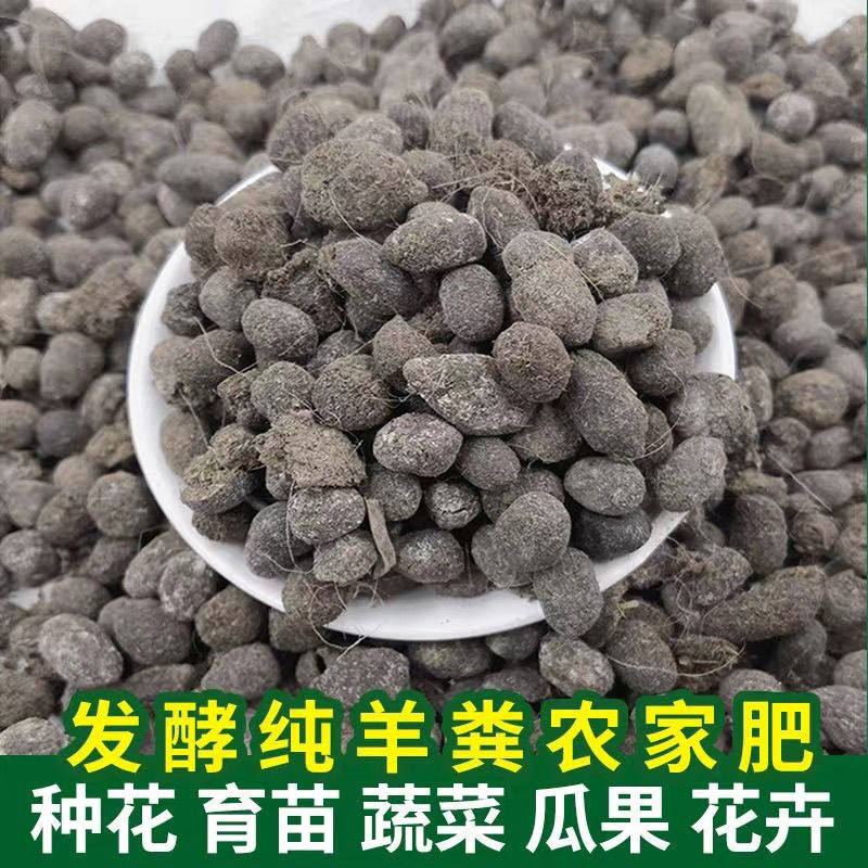 发酵好的羊粪蛋蛋颗粒有