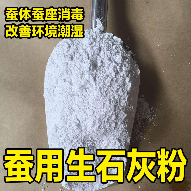 养蚕专用消毒粉蚕宝宝消毒用熟生石灰粉大小爽身粉蚕座蚕体防僵病图片