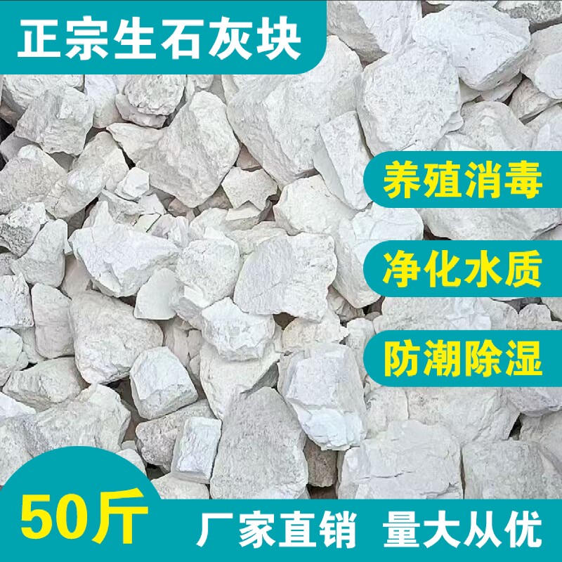 生石灰块粉50斤鱼塘消毒杀菌驱虫净水刷树养殖吸潮干燥剂土壤白灰