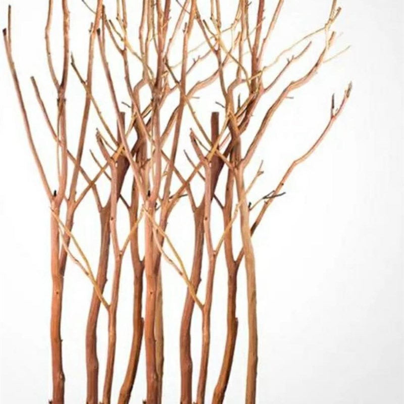 天然干树枝 装饰干枝 艺术枯枝 枯木树杆 去Q皮本色树枝吊灯壁挂