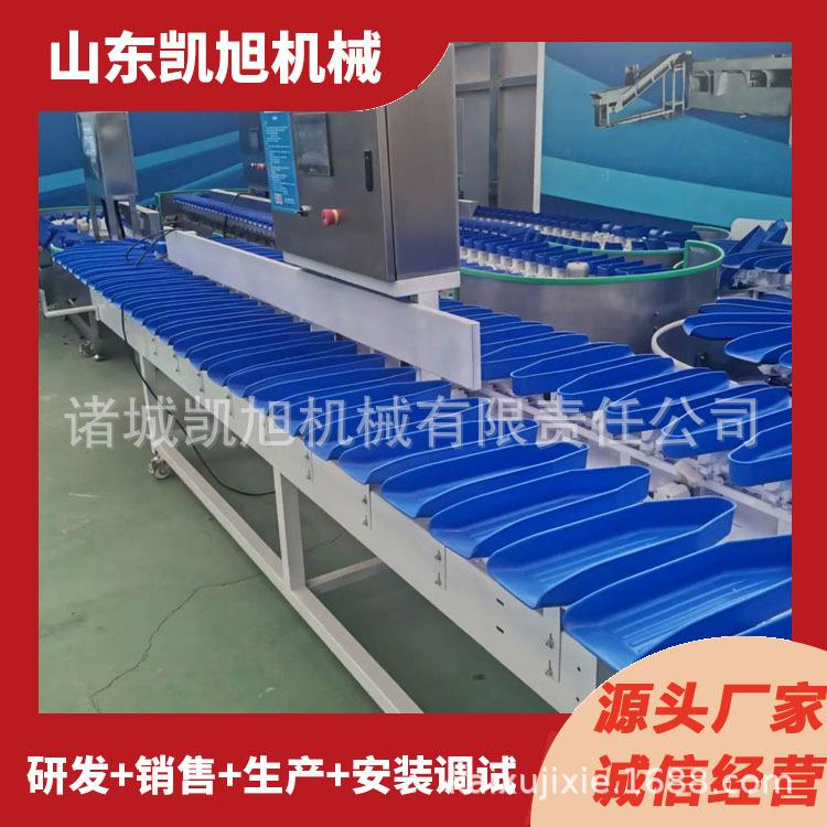 大鹅重量分选机白条鸡鸭多级分级秤猪蹄猪脚圈称重分选设备