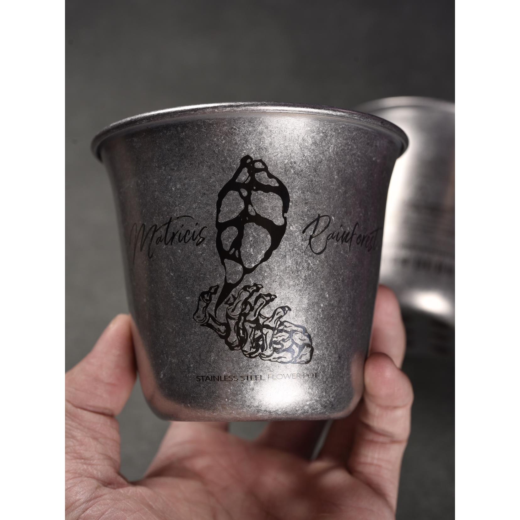 潮流花盆花烛、块根苗杯地下雨林304不锈钢苗盆复古石洗做旧