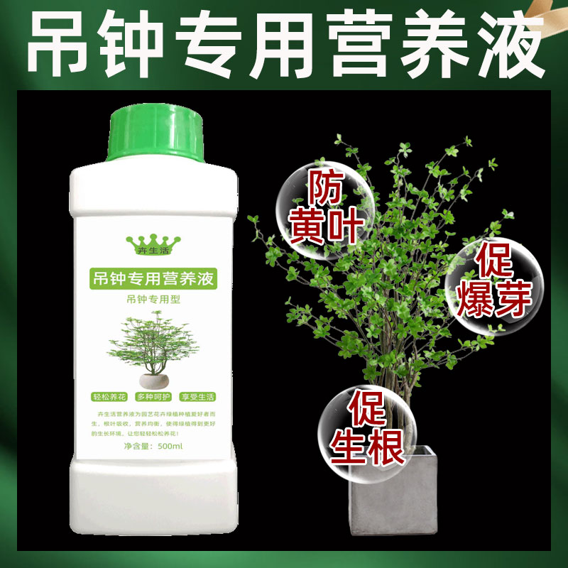 吊钟花专用营养液爆花铃儿花肥料花专用肥盆栽吊钟催花叶面肥