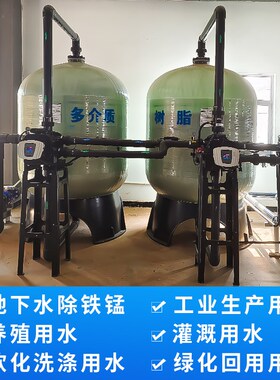 石英砂农业种植蓝莓景观循环水除铁锈多介质理砂设备
