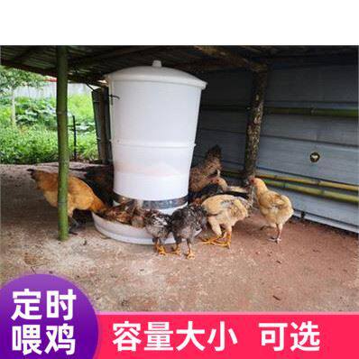 自动喂水器鸡悬挂水壶喂鸡投料机鸽子养鸡自动喂食食槽投放器