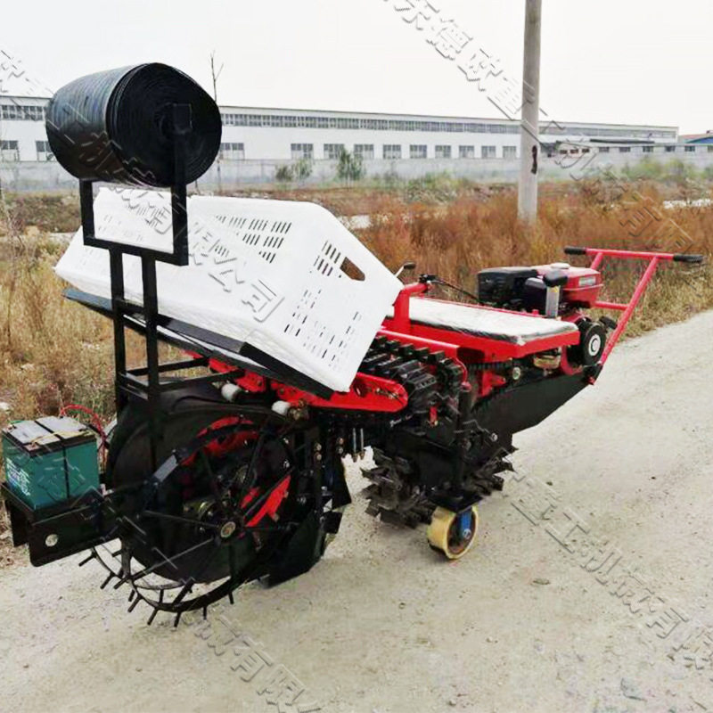 农用自走式大葱移栽机规模化种葱