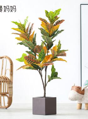 以莲客厅QAO仿植栽物装饰室真内变叶木盆七彩落地绿植法盆景