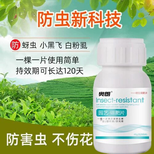 家用园艺防虫片防小黑虫飞蚜虫白粉蝨飞虫小菜蛾家用花卉盆栽绿植