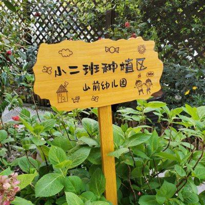 户外物业花草幼儿园菜园种植花园装饰插地木质提示标识牌木牌定制