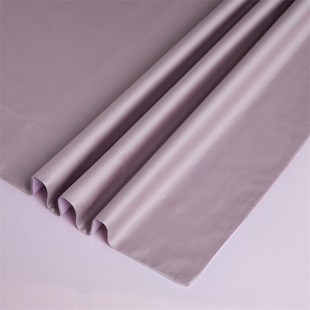 全棉高级感新款 新疆长绒棉100支枕套一对家用纯色枕头套装