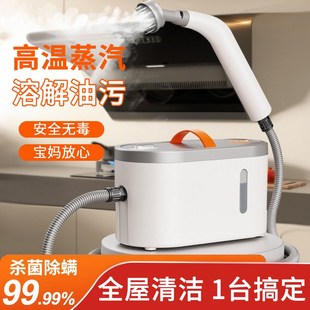 蒸汽清洁机高温高压家用小型多功能厨房油烟机家电空调冰箱清洗机