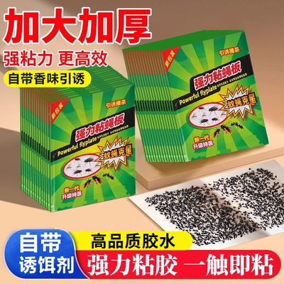 粘蝇纸苍蝇贴强力粘蝇板灭蝇蚊子
