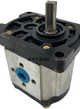 上海大众SDH高压齿轮泵CBTt-F304/306/310/314/316/320/325F3P7-6