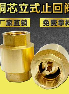 直销单向阀 四寸铜芯加厚内螺纹止逆弹簧黄铜立式止回阀dn100